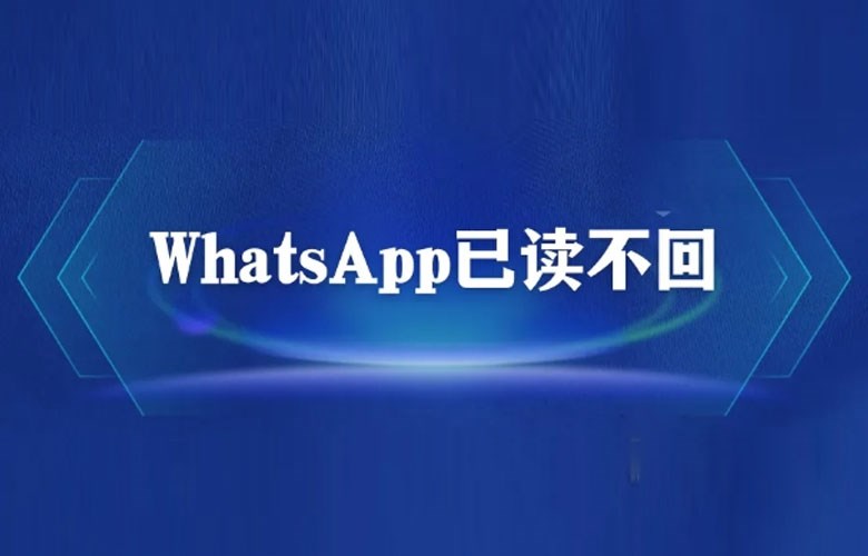 WhatsApp如何设置已读回执？