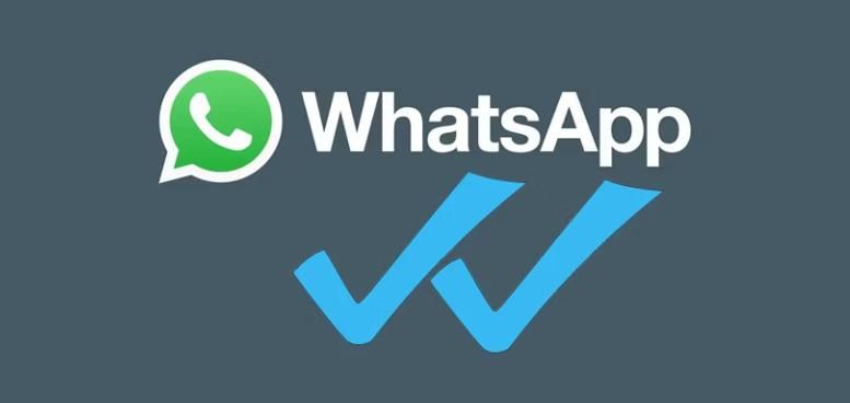 WhatsApp一个勾勾是什么意思？