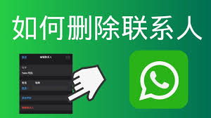 如何在WhatsApp删除好友？