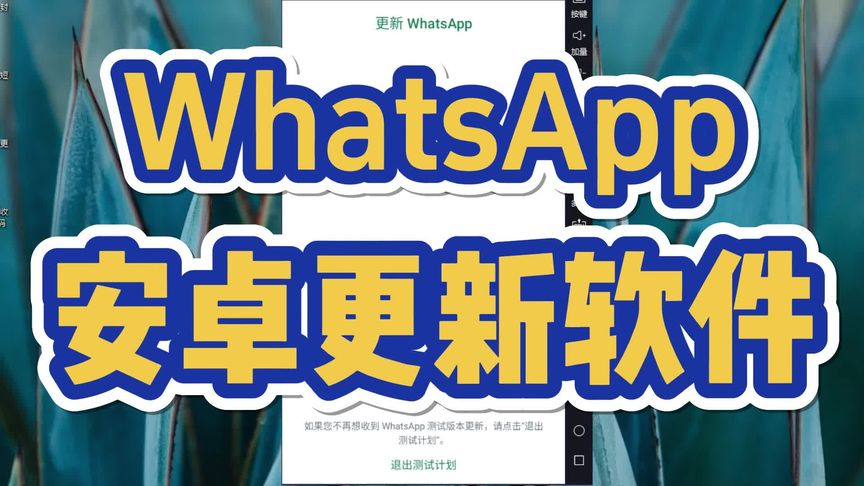 大陆怎么更新WhatsApp？